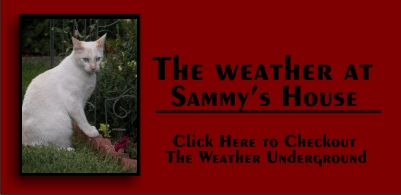 Sammy